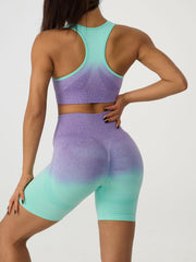 Gradient Scoop Neck Tank and High Waist Shorts Active Set - 808Lush