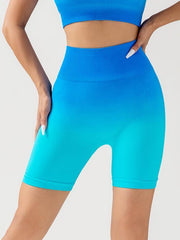 Women's gradient seamless breathable tight sports three-point yoga pants + top set - 808Lush