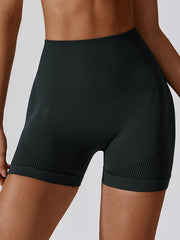 Wide Waistband Slim Fit Sports Shorts - 808Lush