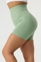 High Waist Wide Waistband Active Shorts - 808Lush