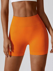 Wide Waistband Slim Fit Sports Shorts - 808Lush