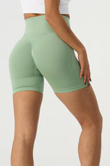 High Waist Wide Waistband Active Shorts - 808Lush