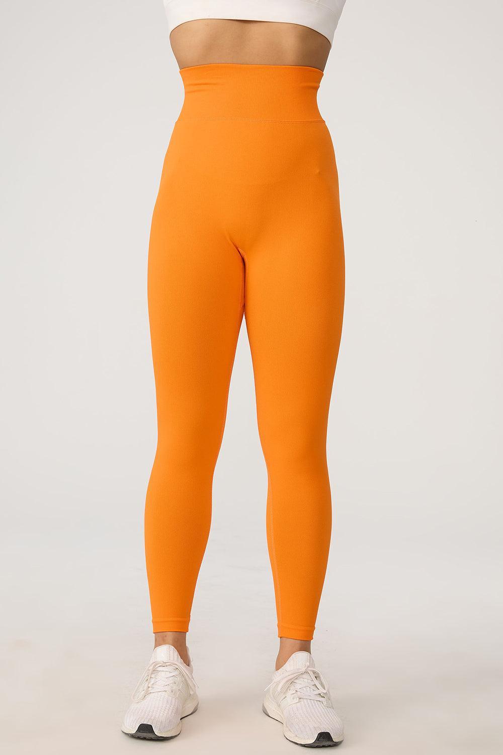 High Waist Active Pants - 808Lush