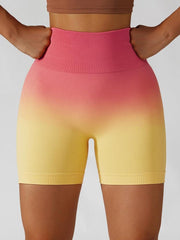 Gradient Wide Waistband Slim Fit Sports Shorts - 808Lush