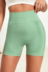 Wide Waistband Slim Fit Active Shorts - 808Lush