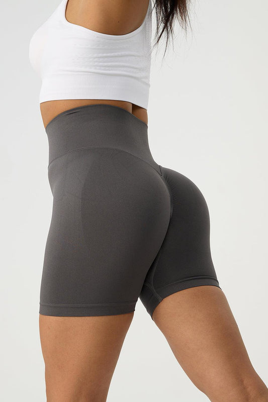 High Waist Wide Waistband Active Shorts - 808Lush