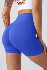 High Waist Wide Waistband Active Shorts - 808Lush